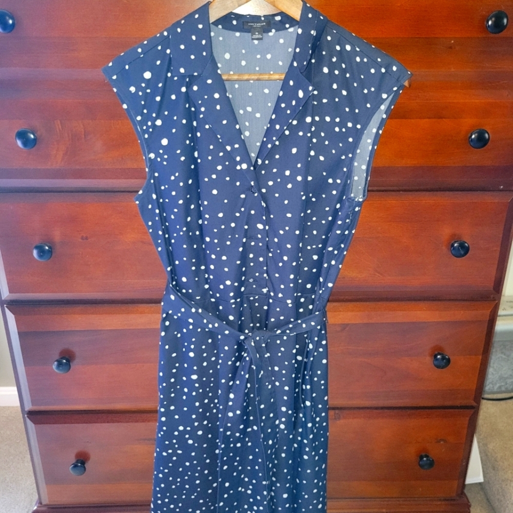 Ann Taylor retro style dress